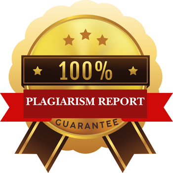 Plagiarism Report